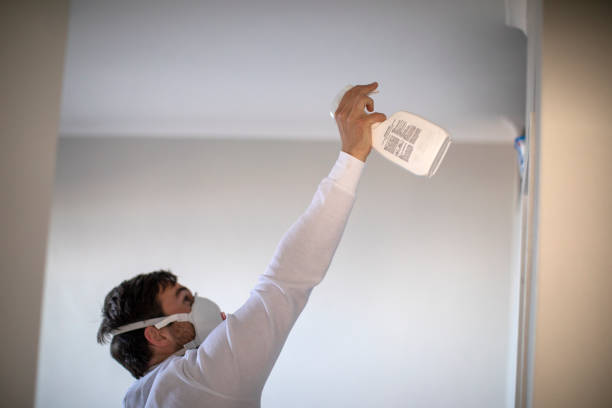 Best Certified Mold Removal  in Brecksville, OH