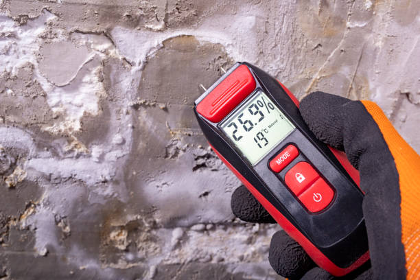 Professional Mold Removal in Brecksville, OH