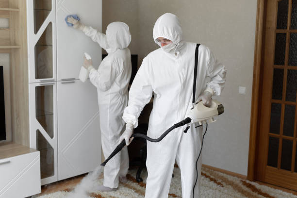 Certified Mold Removal in Brecksville, OH