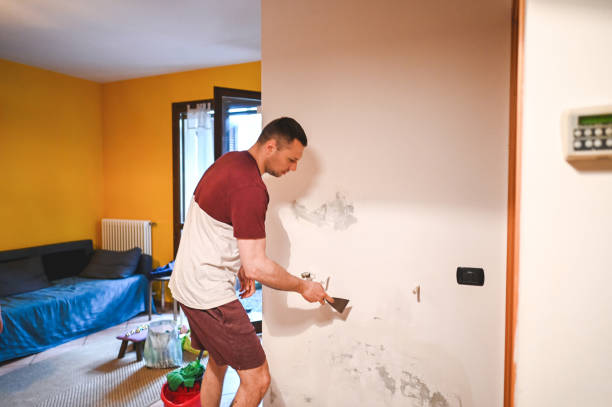 Best Crawl Space Mold Removal  in Brecksville, OH